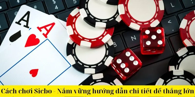 Cách chơi Sicbo - Nắm vững hướng dẫn chi tiết để thắng lớn